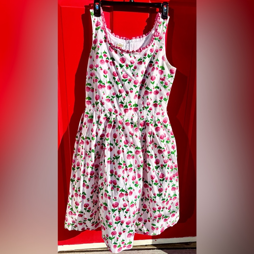 Talbot’s vintage style spring dress